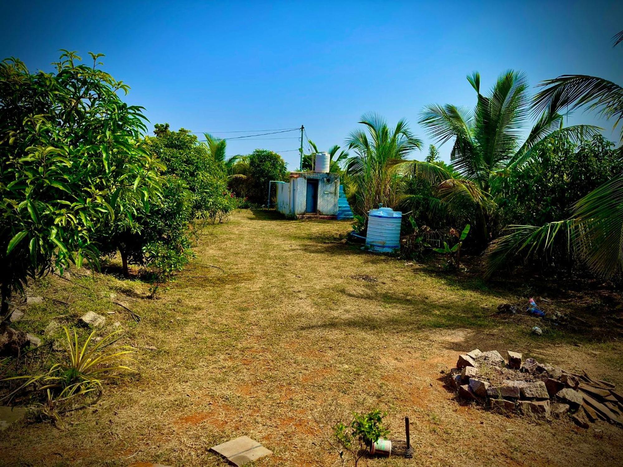 Mangohut Farmhouse Pool Villa 하이데라바드 외부 사진