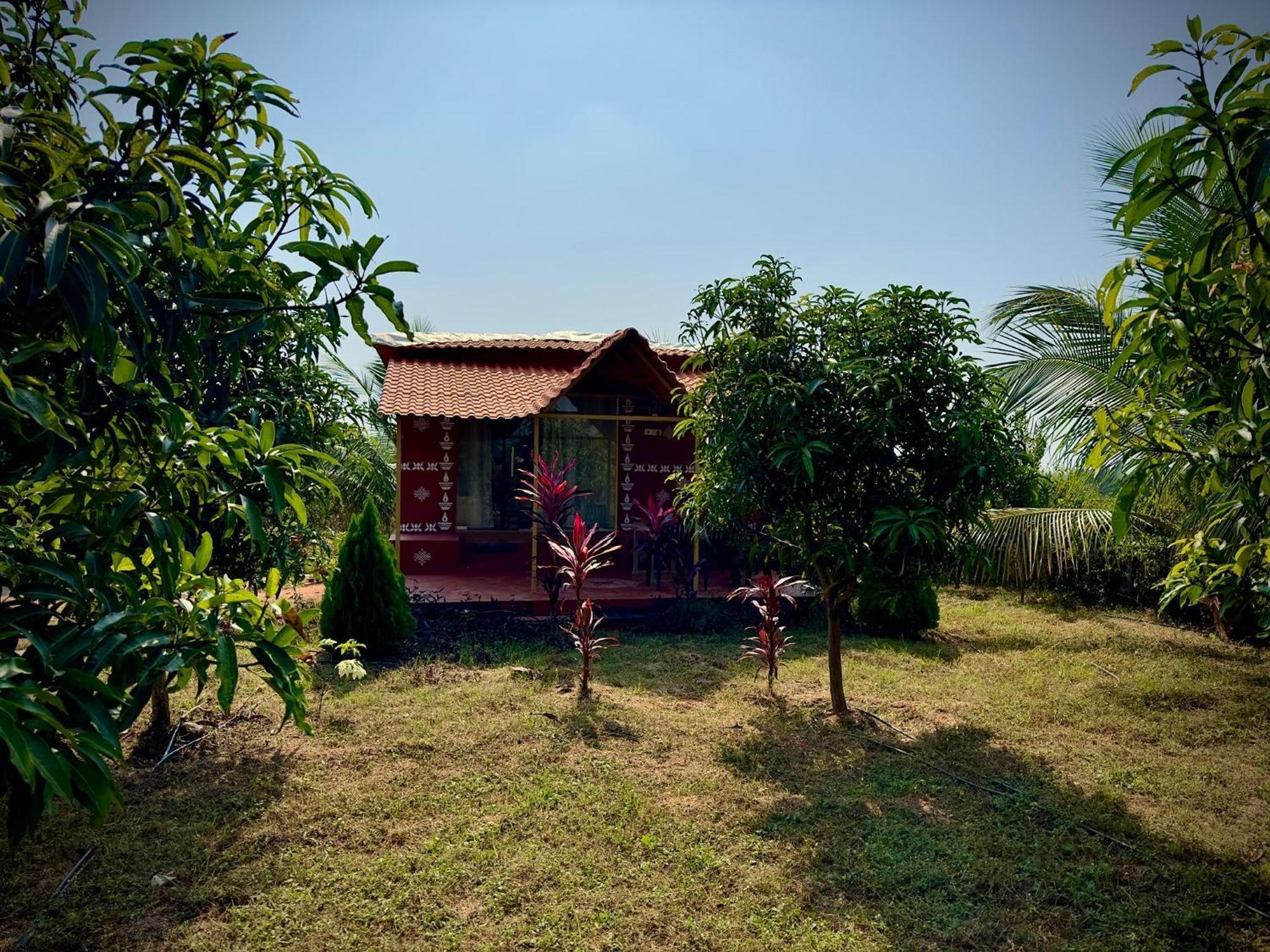 Mangohut Farmhouse Pool Villa 하이데라바드 객실 사진